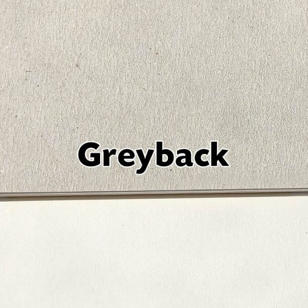 1 Sided - Greyback