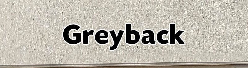 1 Sided - Greyback
