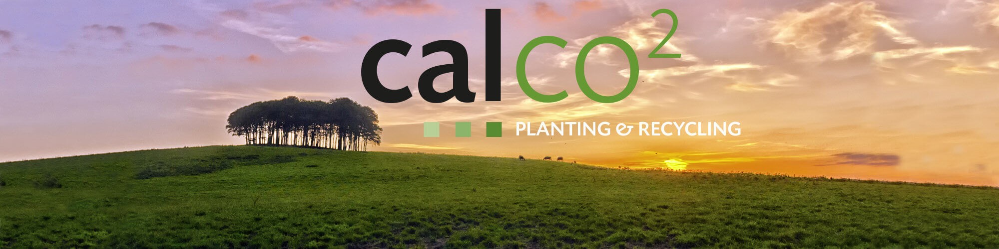 Calco paper - Calco2